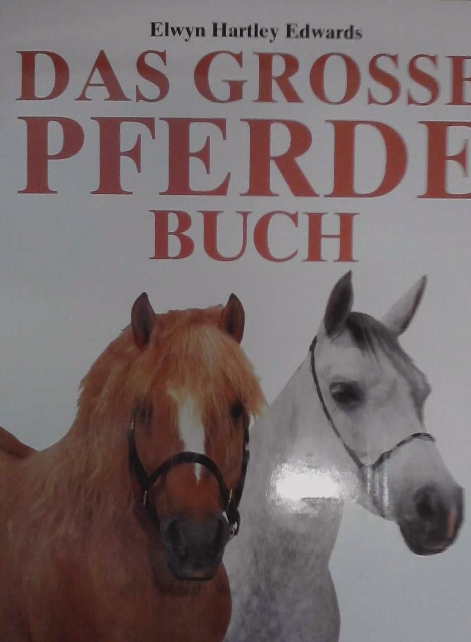 Das grosse Pferde Buch