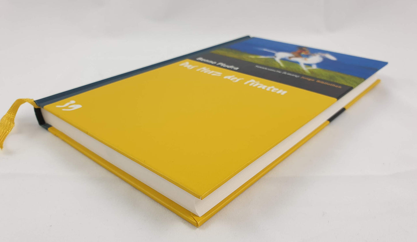Das Herz des Piraten. SZ Junge Bibliothek Band 39