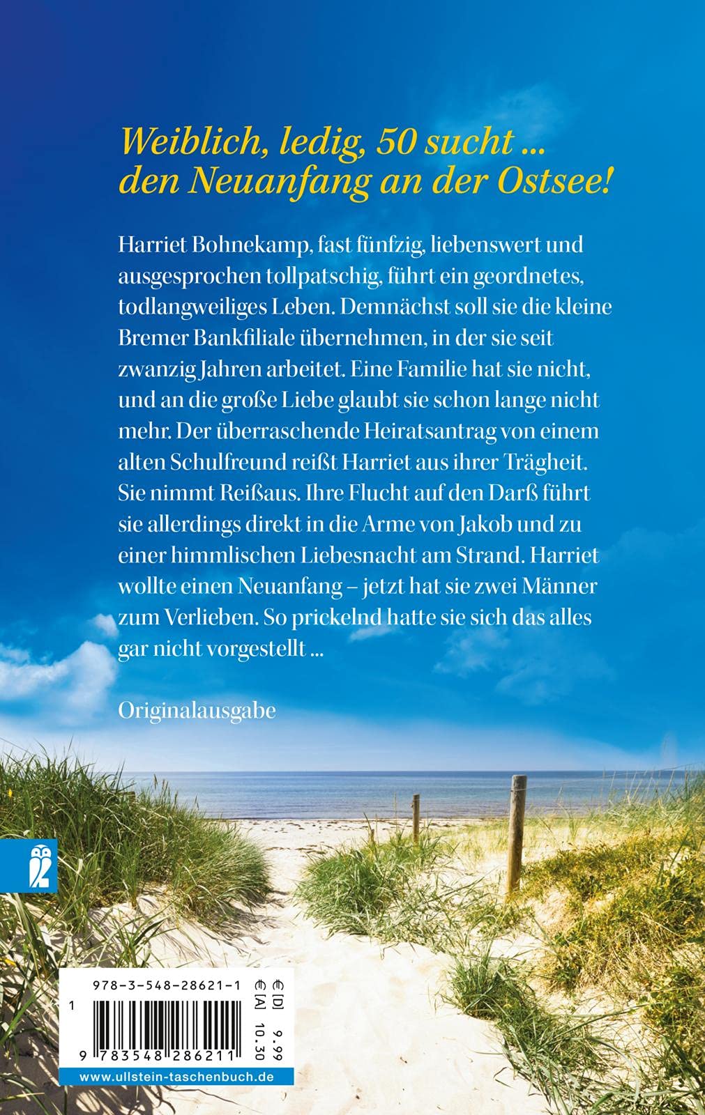 Ostseewind und Sanddornküsse: Roman