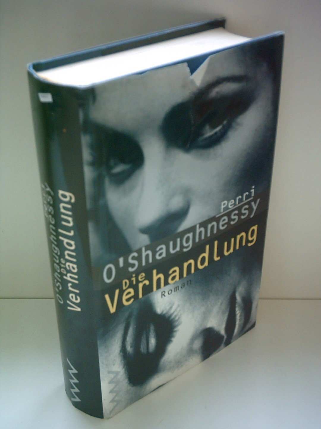 Perri O'Shaughnessy: Die Verhandlung