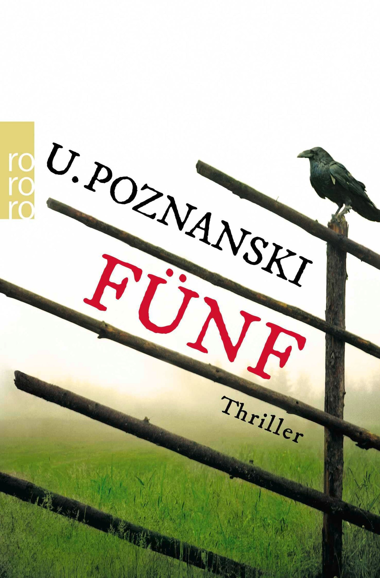 Fünf: Salzburg-Thriller (Kaspary & Wenninger ermitteln, Band 1)