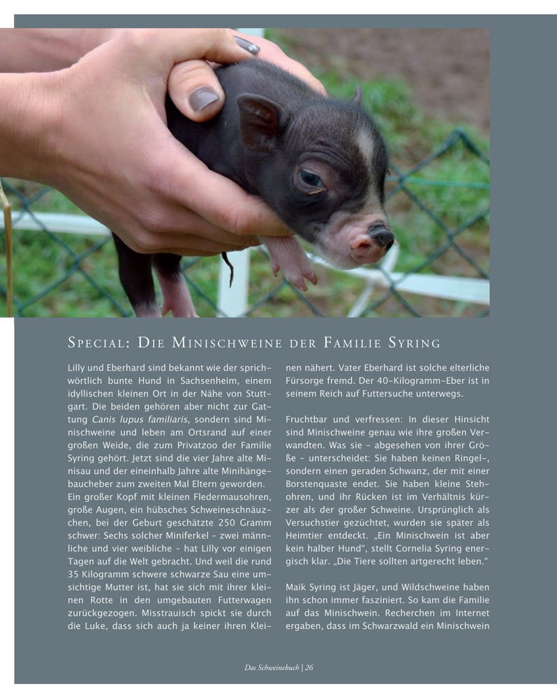 Das Schweinebuch: Von schönen Schweinen, seltenen Rassen und dem Wohl der Tiere (Tiere auf dem Land)