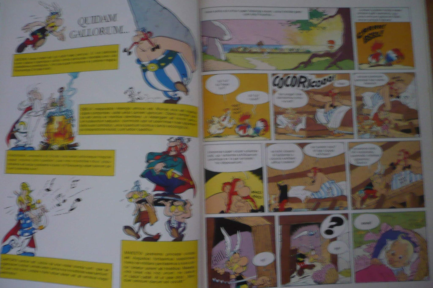 Asterix latein 12: Filius Asterigis: Asterix en latin