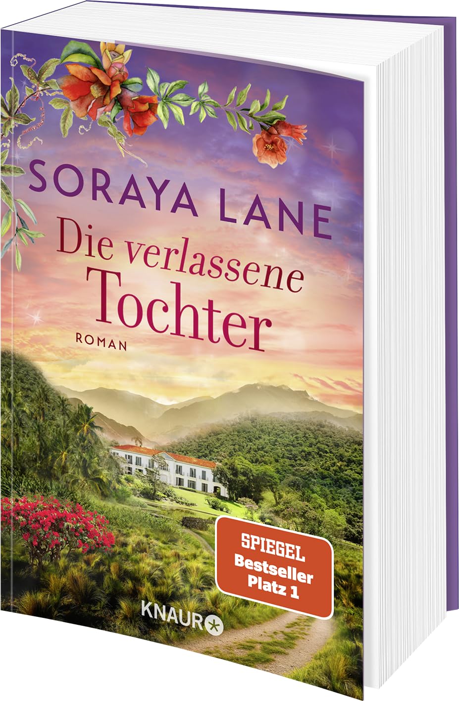 Die verlassene Tochter: Roman (Die verlorenen Töchter, Band 6)
