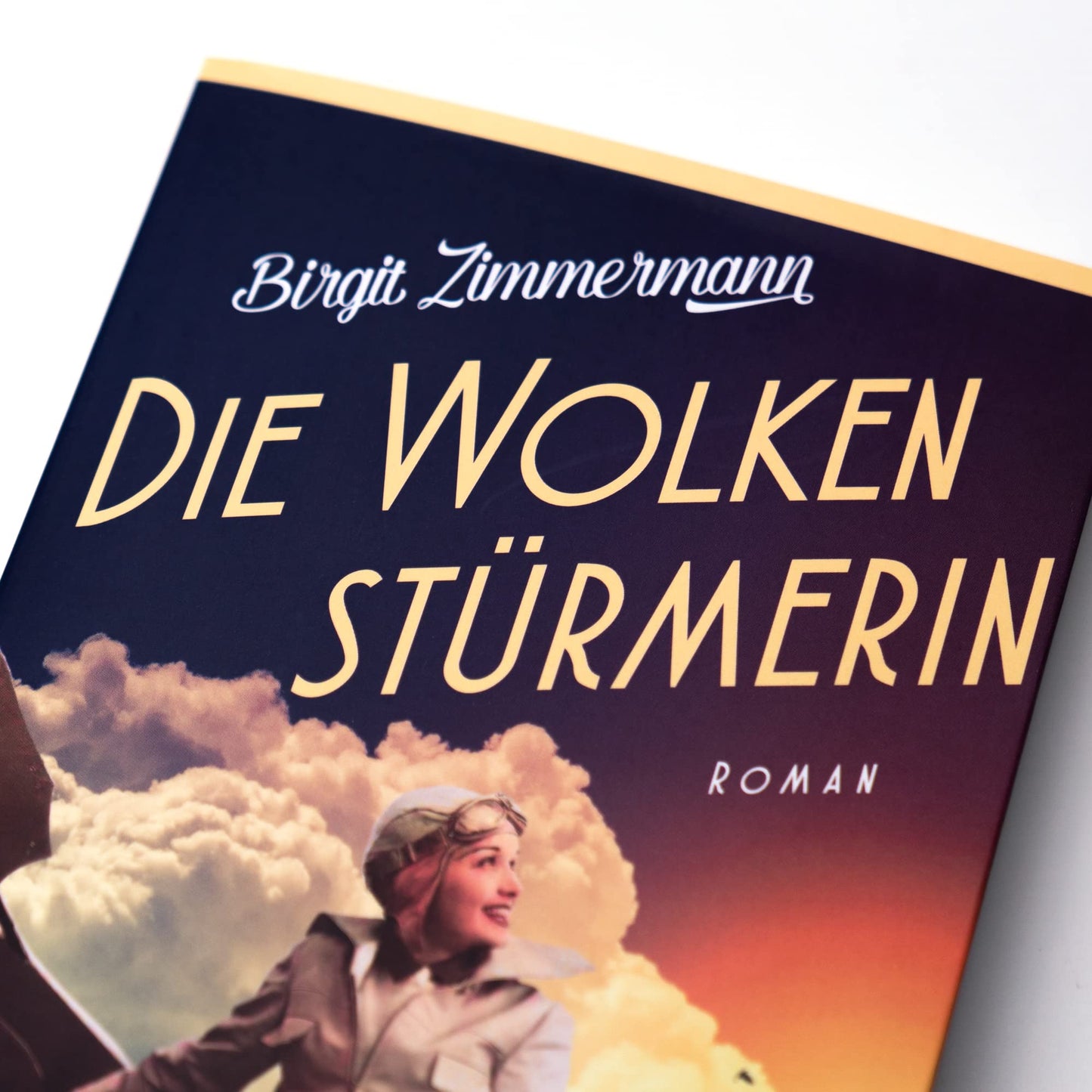 Die Wolkenstürmerin: Roman