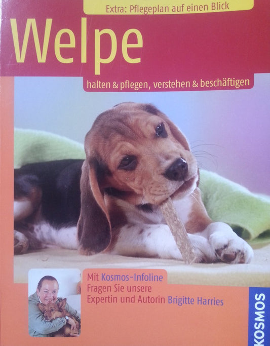 Welpe