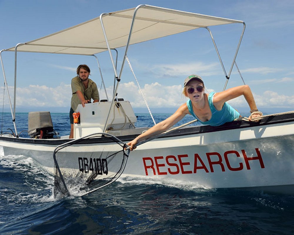 Reef Docs - Die Inselklinik [3 DVDs]