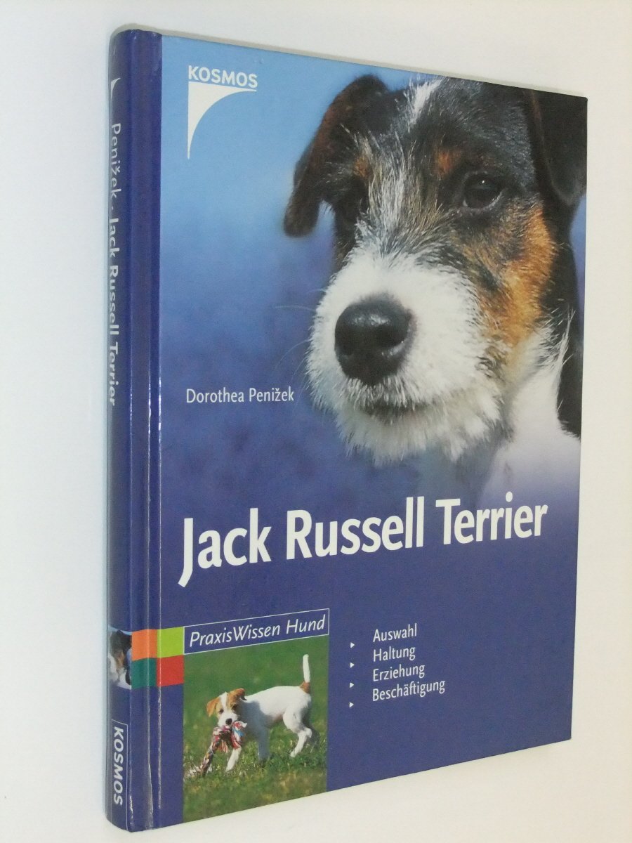 Jack Russell Terrier