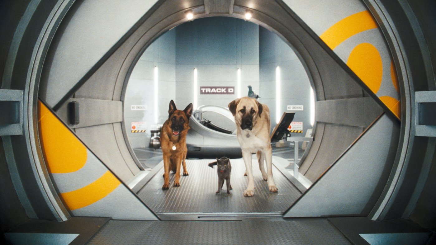 Cats & Dogs: Die Rache der Kitty Kahlohr