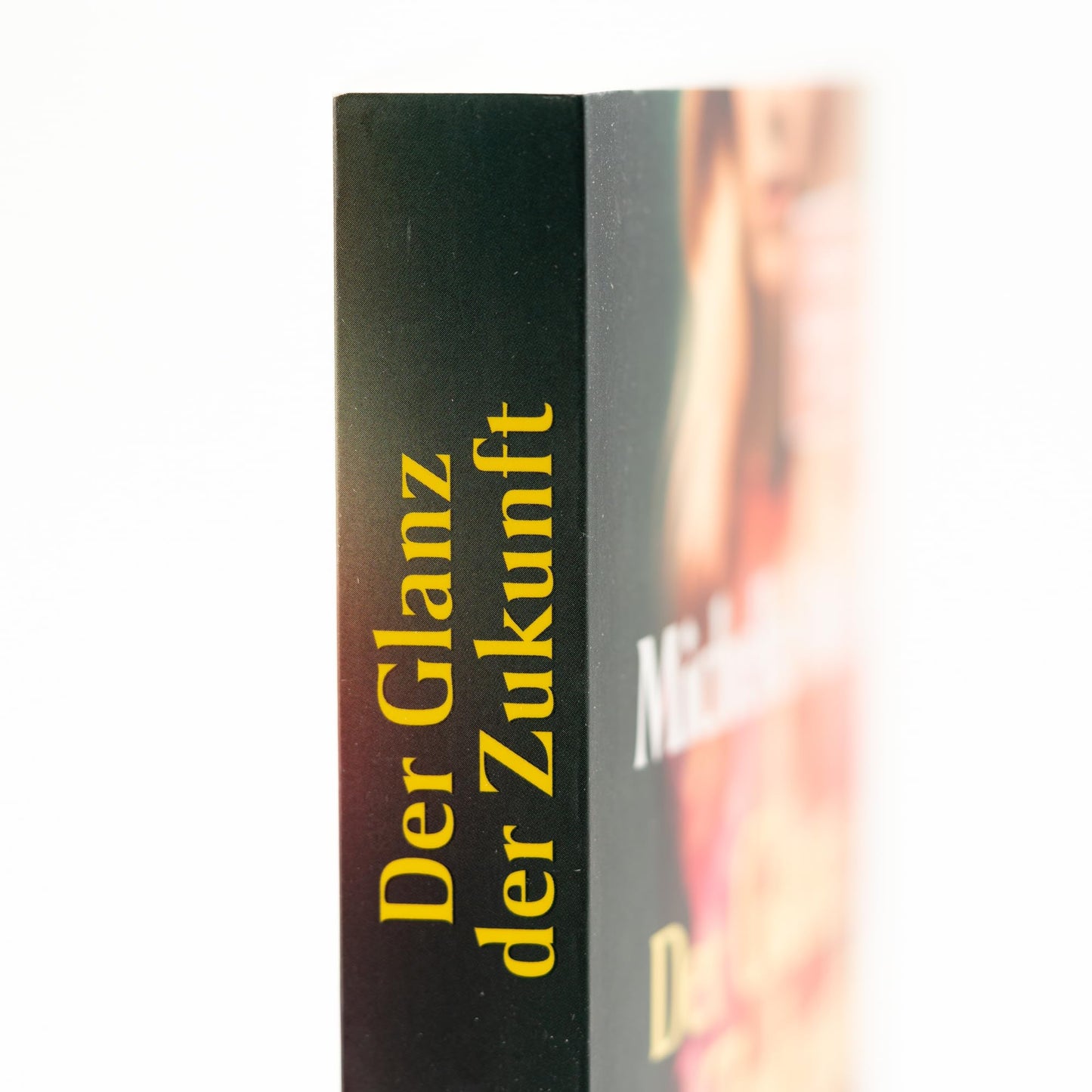 Der Glanz der Zukunft. Loulou de la Falaise und Yves Saint Laurent: Romanbiografie | Die SPIEGEL-Bestsellerautorin schreibt über eine Frau, die alles ... danach strebt, mehr zu sein als eine »Muse«
