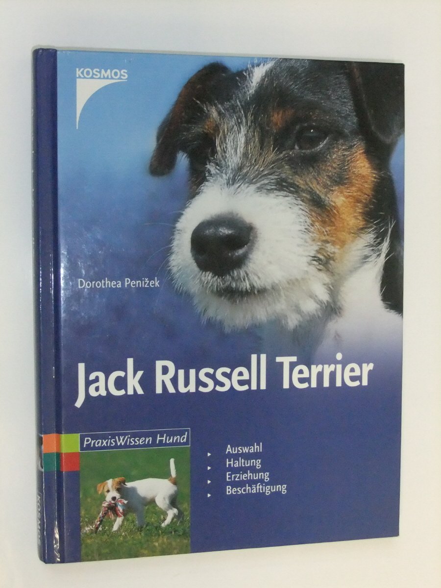 Jack Russell Terrier