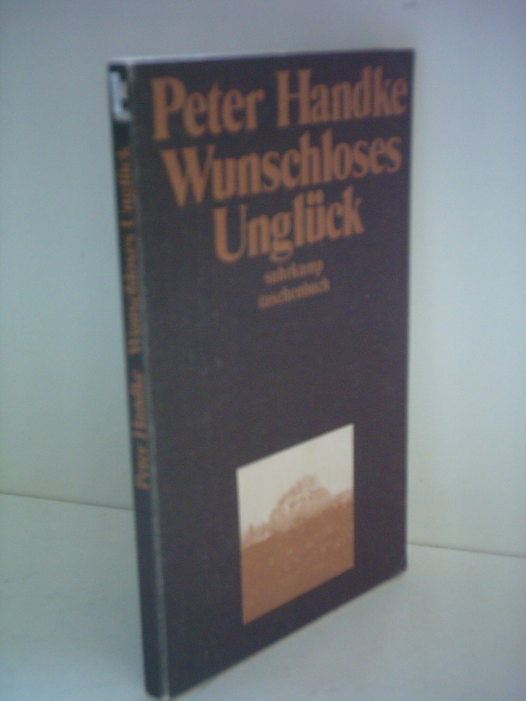 Wunschloses Unglück: Erzählung (Suhrkamp Taschenbücher)