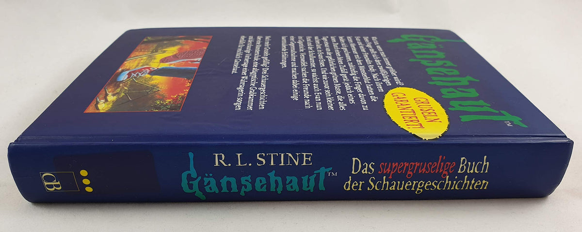 Supergruselige Buch der Schauergeschichten: Ab 10 Jahre