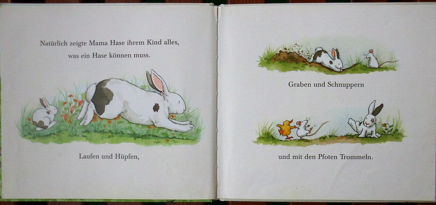 Knuddelhase