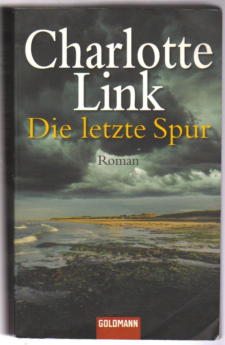 Die letzte Spur: Roman. Originalausgabe