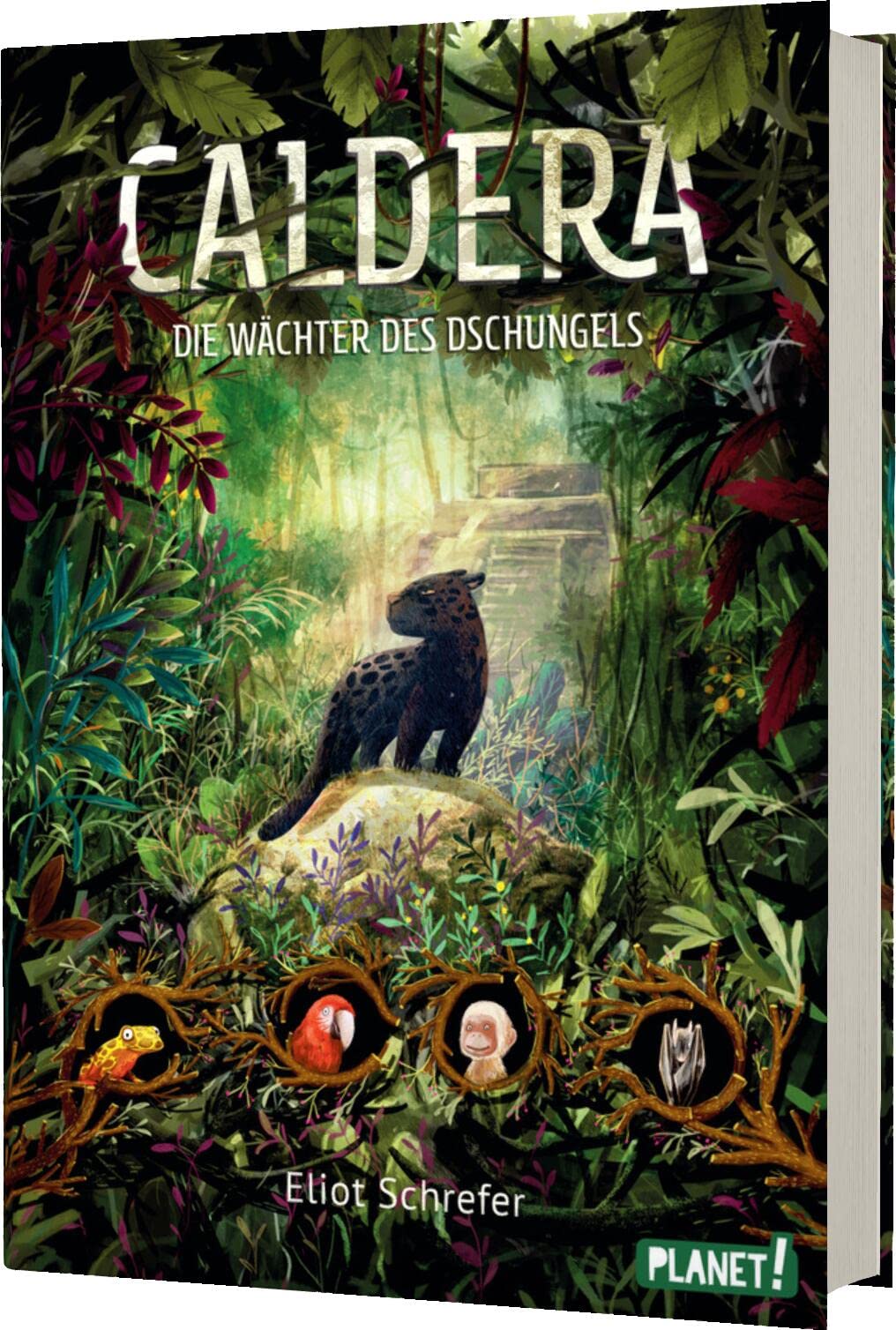 Caldera 1: Die Wächter des Dschungels: Fantastische Tier-Trilogie (1)