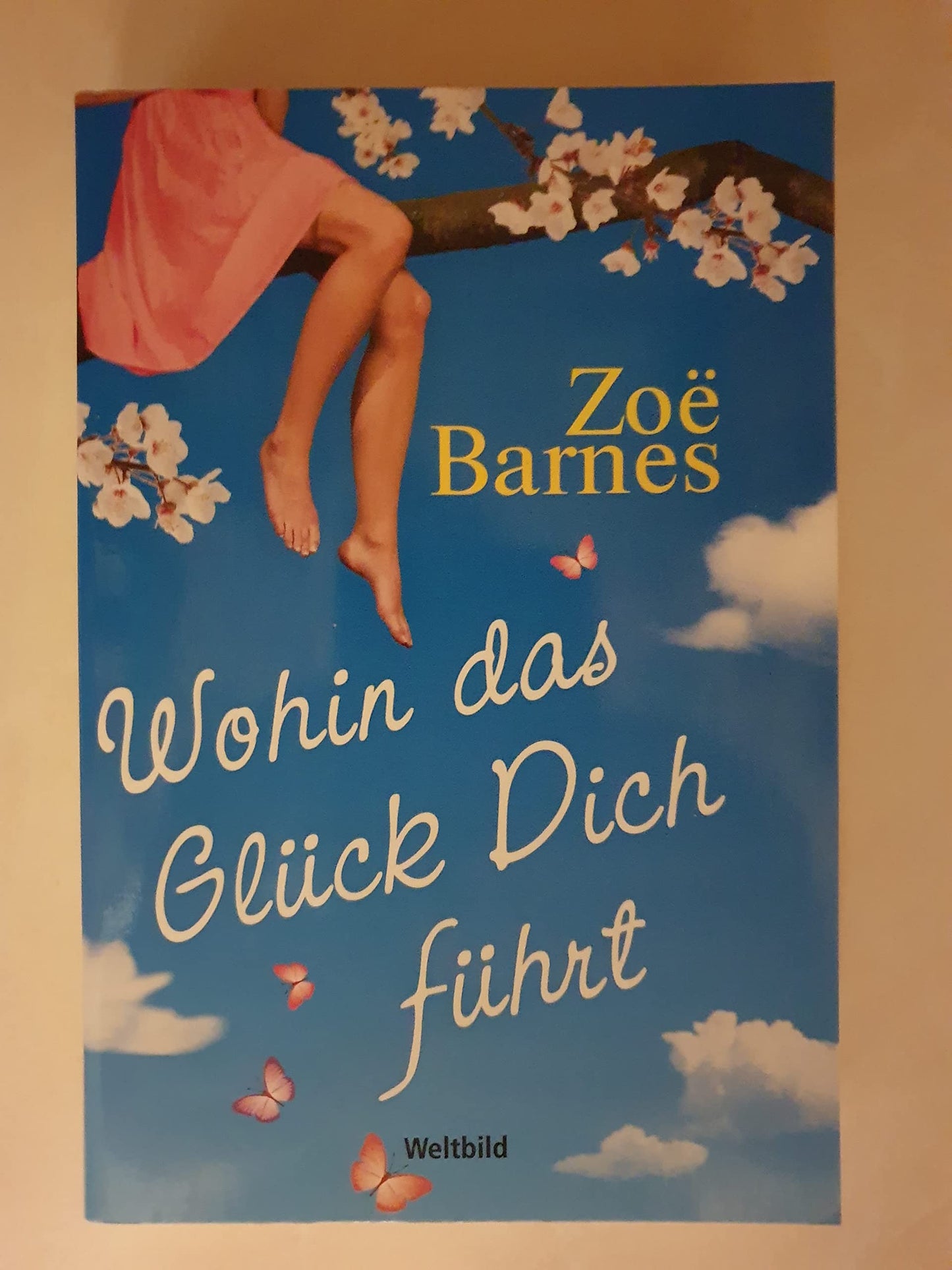 Wohin das Glück dich führt : Roman.