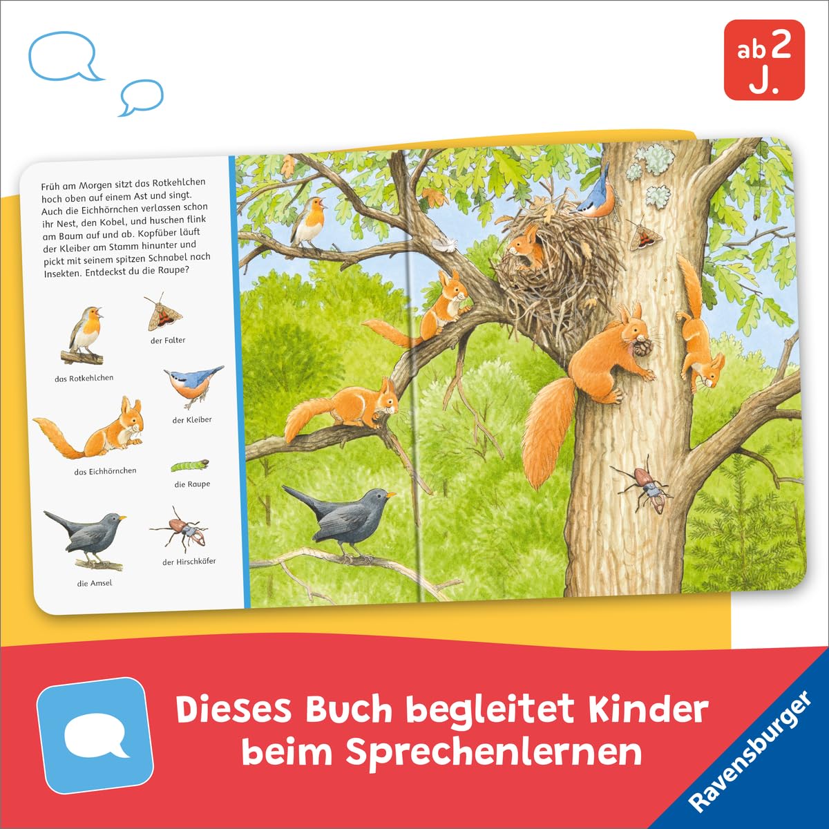 Sachen suchen - Tiere im Wald