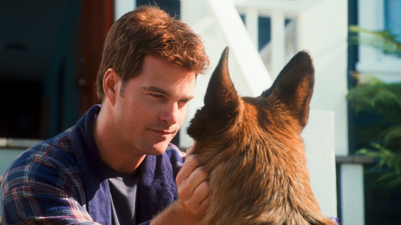 Cats & Dogs: Die Rache der Kitty Kahlohr