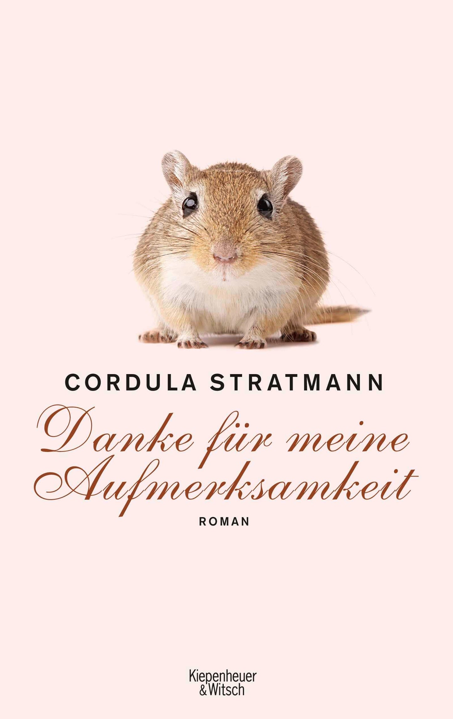 Danke für meine Aufmerksamkeit: Roman
