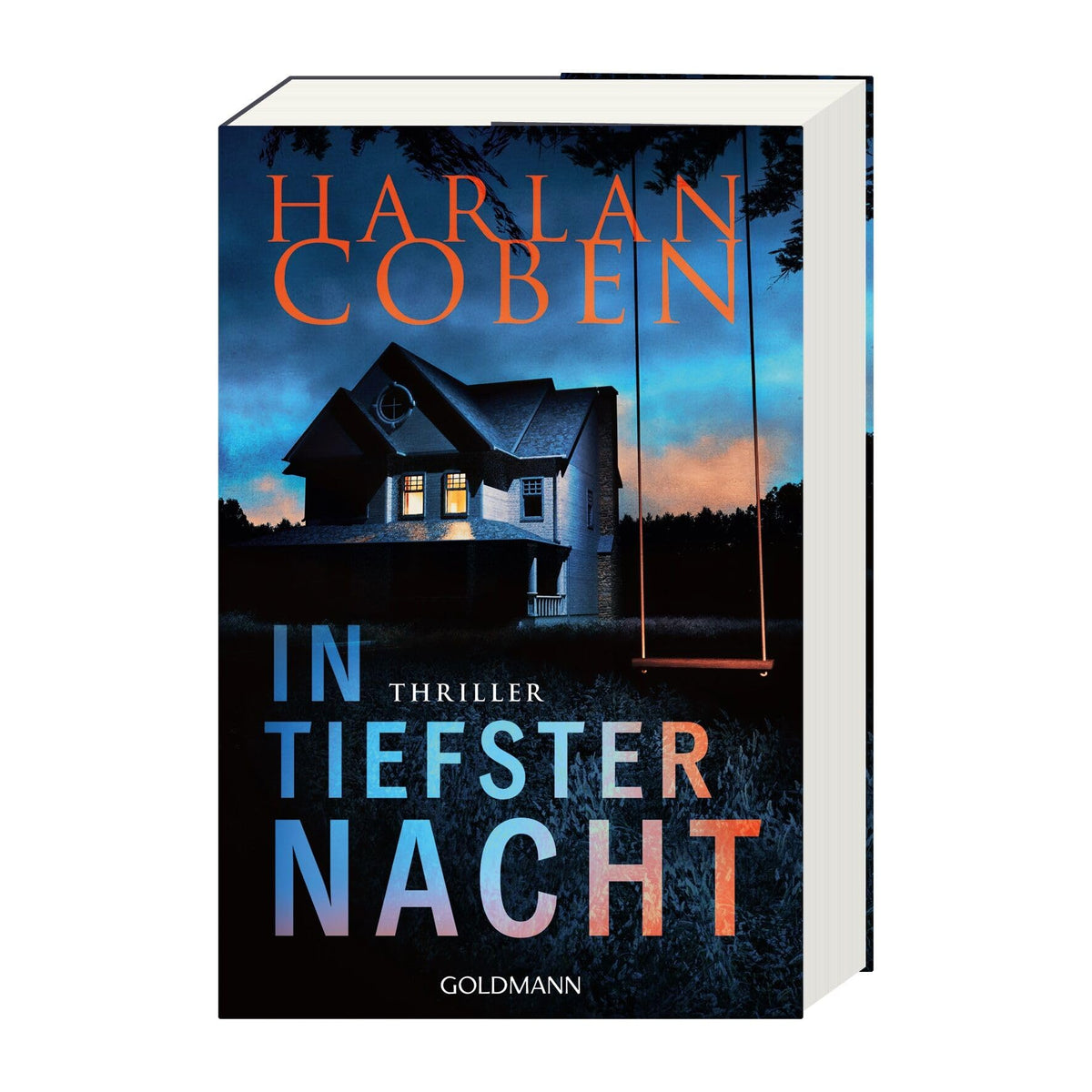 In tiefster Nacht: Thriller