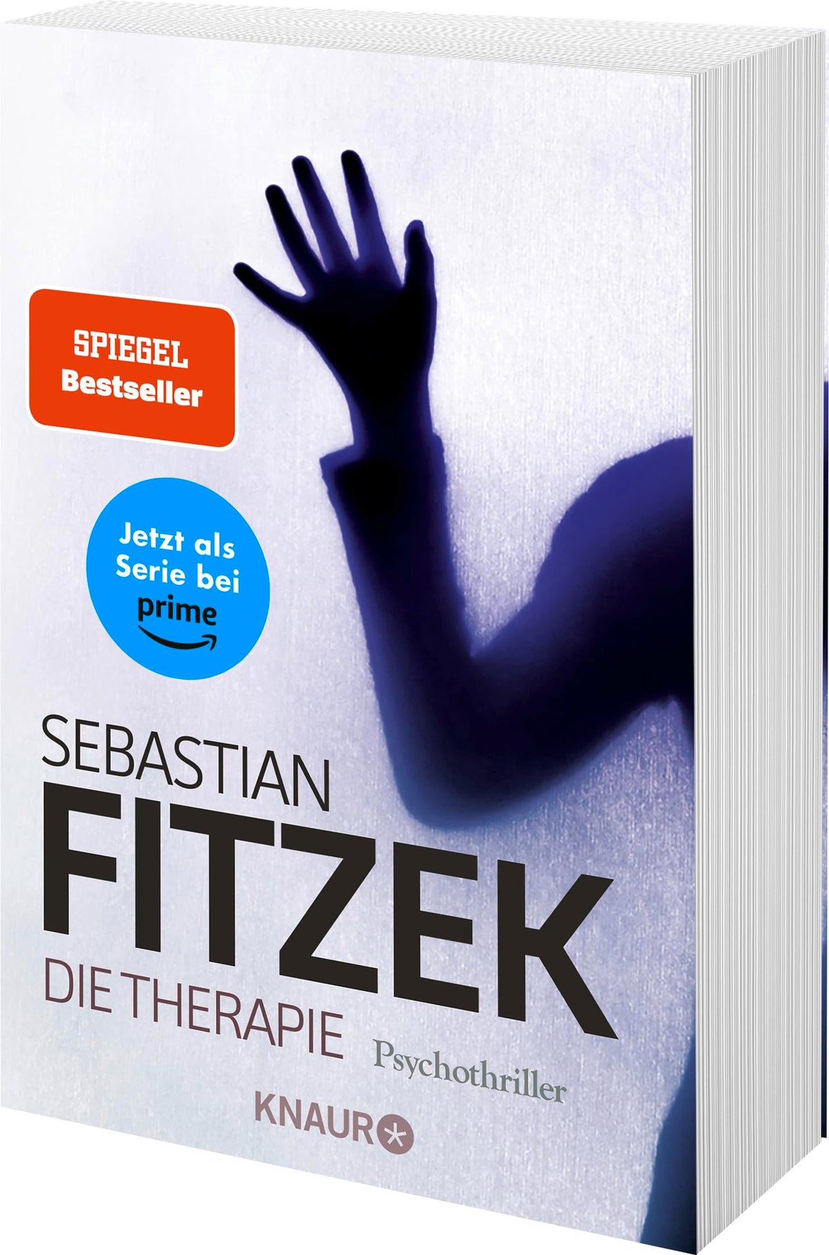 Die Therapie