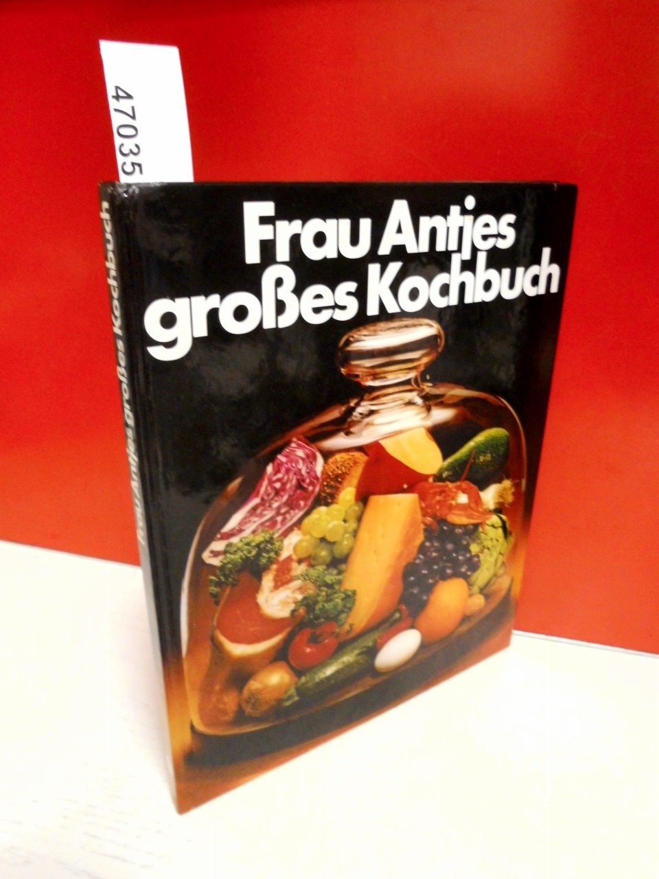 Frau Antjes grosses Kochbuch - Das Kochbuch aus der Praxis für die Praxis