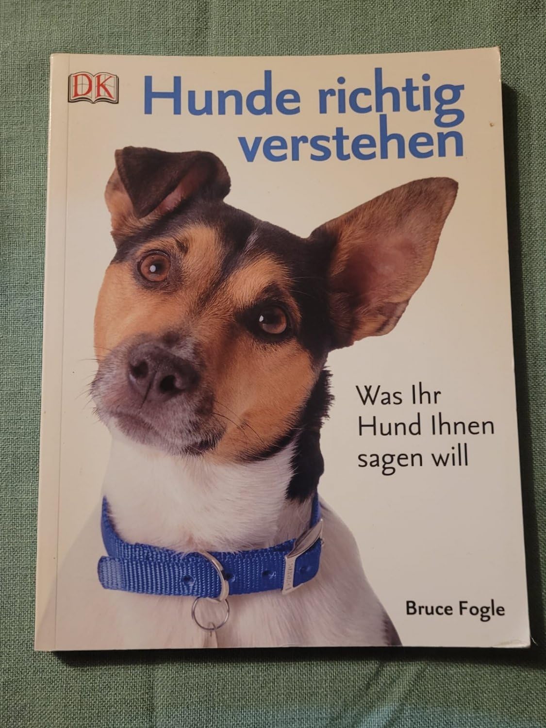 Hunde richtig verstehen: Was Ihr Hund Ihnen sagen will