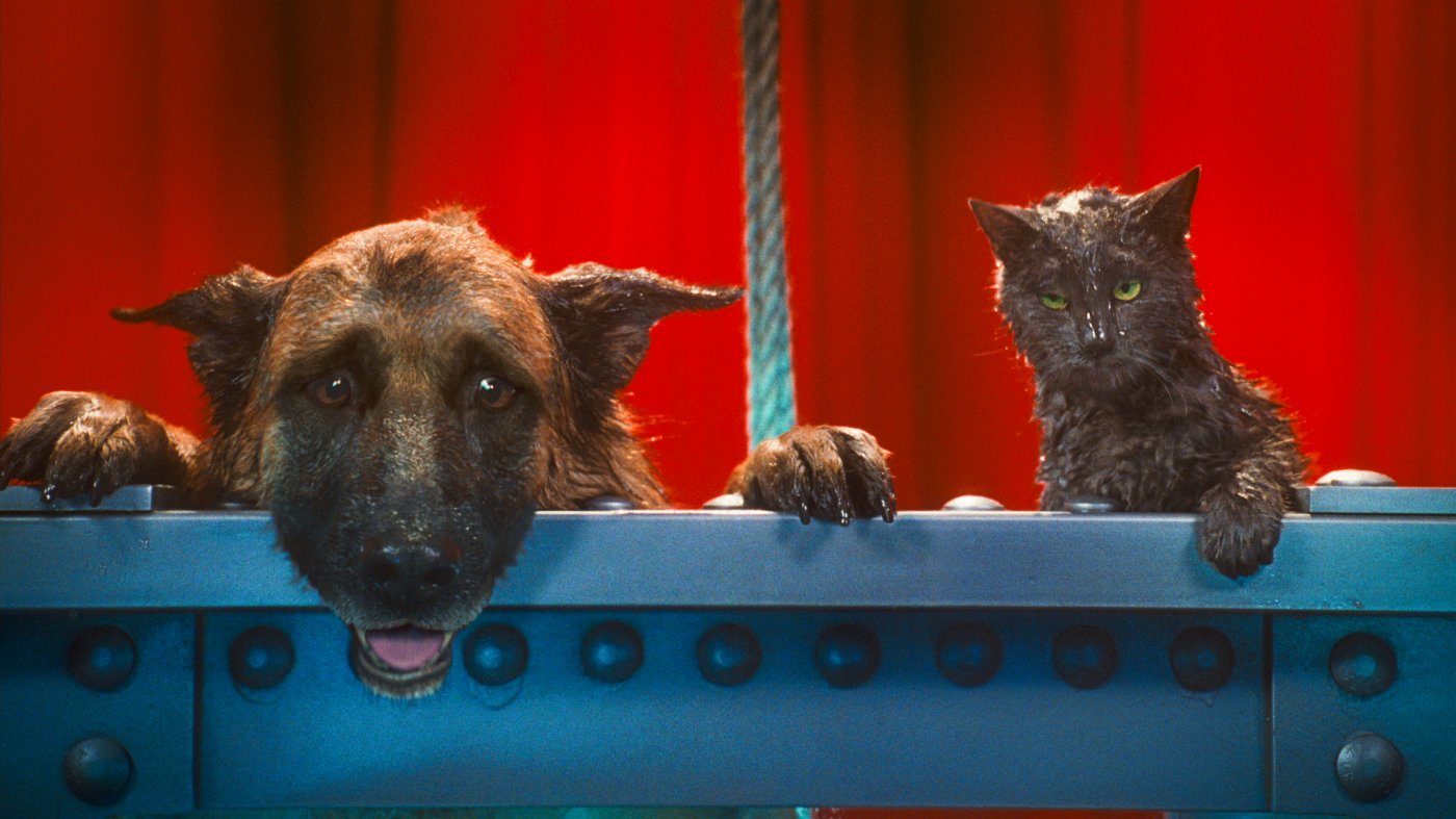 Cats & Dogs: Die Rache der Kitty Kahlohr