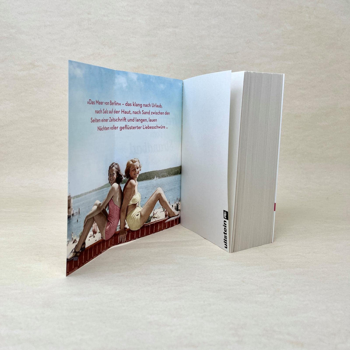 Die Freundinnen vom Strandbad: Wellen des Schicksals | Berührender Sommerroman über die Zeit der deutschen Teilung (Die Müggelsee-Saga, Band 1)