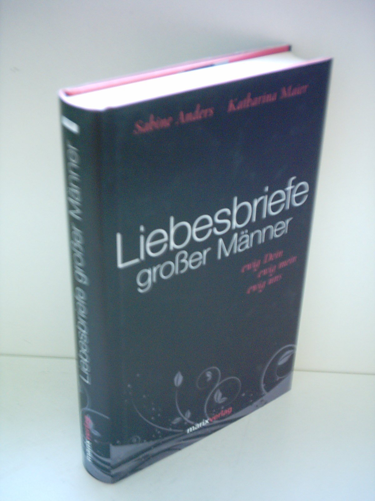 Liebesbriefe großer Männer: ewig dein, ewig mein, ewig uns (Literatur (Leinen))