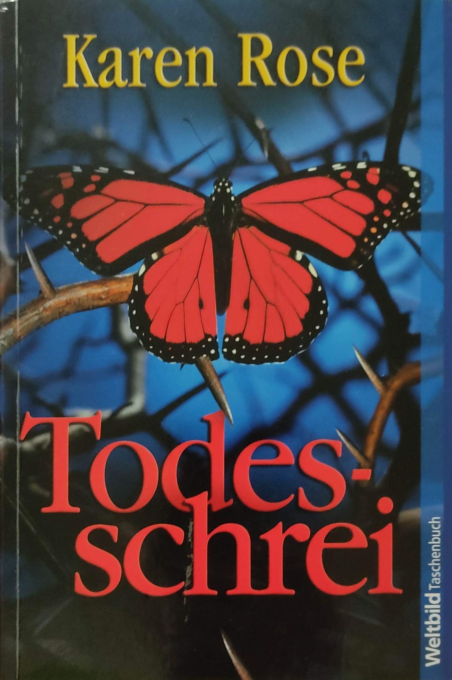 Karen Rose: Todesschrei