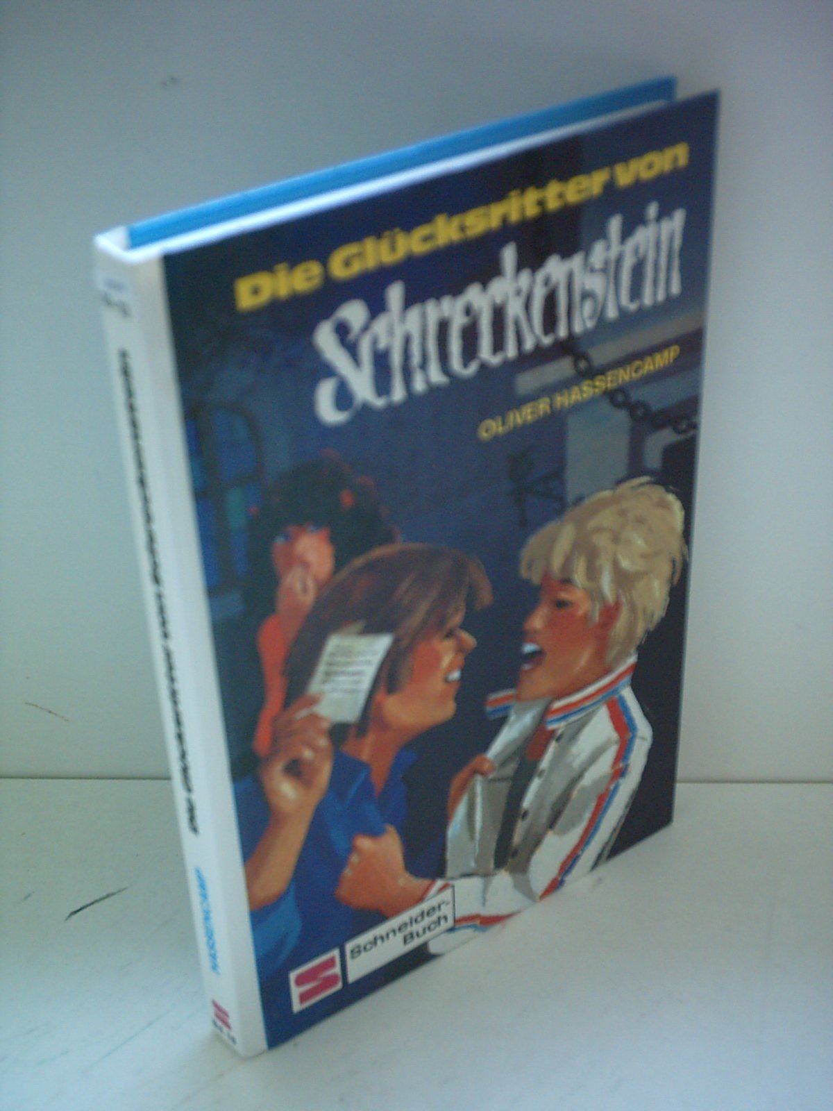 Burg Schreckenstein: Die Glücksritter von Schreckenstein, Bd. 18
