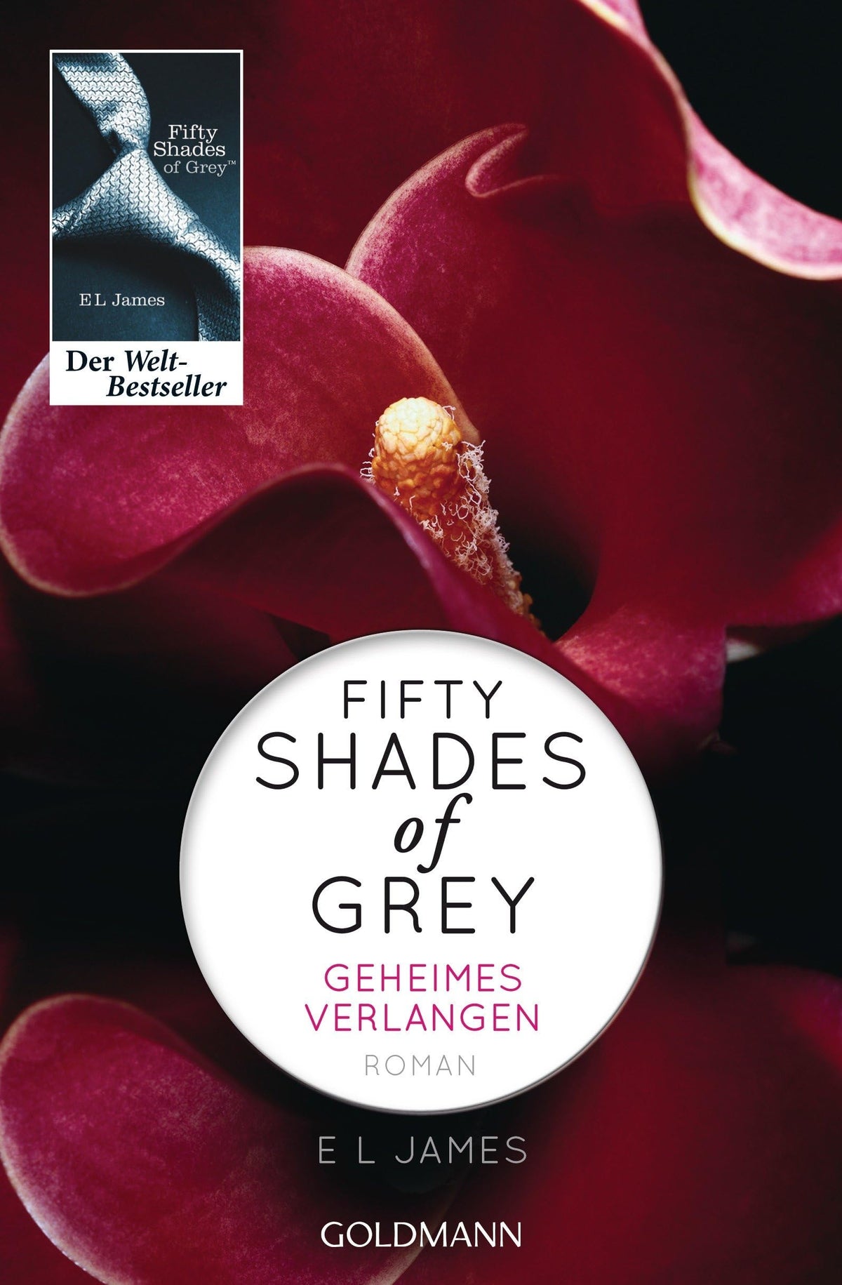 Shades of Grey, Band 1: Geheimes Verlangen / Band 2: Gefährliche Liebe / Band 3: Befreite Lust