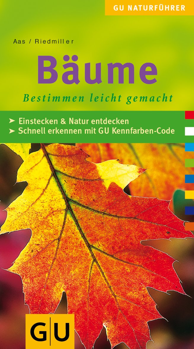 Bäume