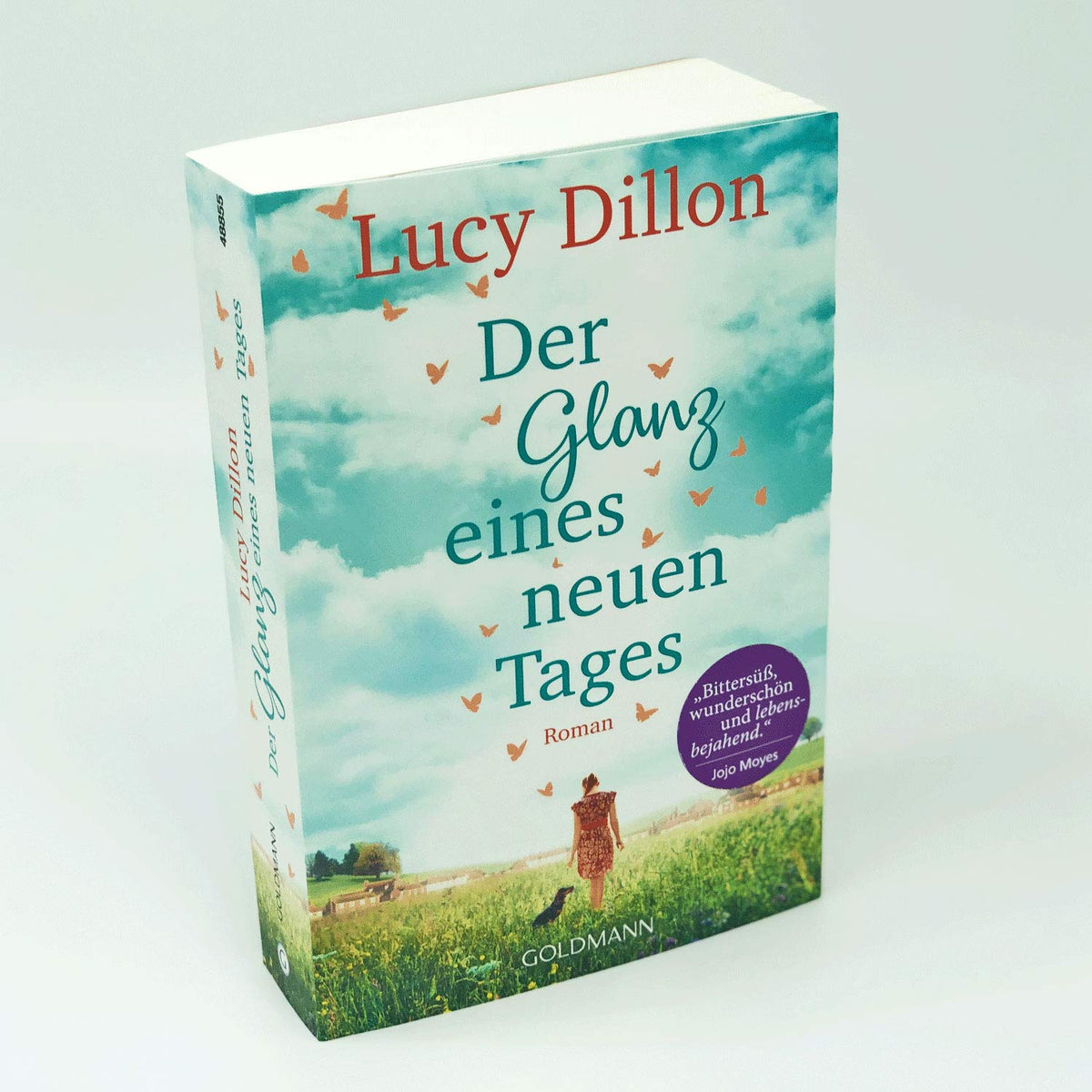 Der Glanz eines neuen Tages: Roman