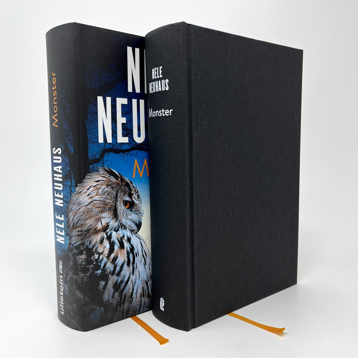 Monster: Kriminalroman | Der SPIEGEL-Bestseller Nr. 1: Wer schuldig ist, entkommt nicht… (Ein Bodenstein-Kirchhoff-Krimi, Band 11)