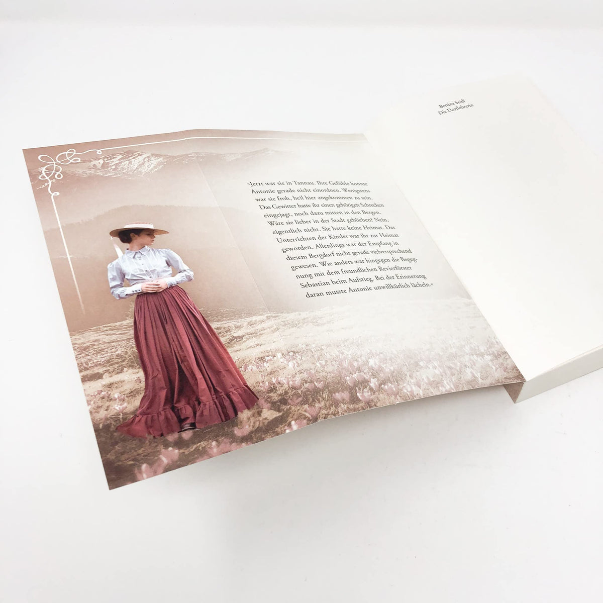 Die Dorflehrerin: Zwischen Liebe und Berufung – Roman (Die Dorflehrerin-Reihe, Band 1)