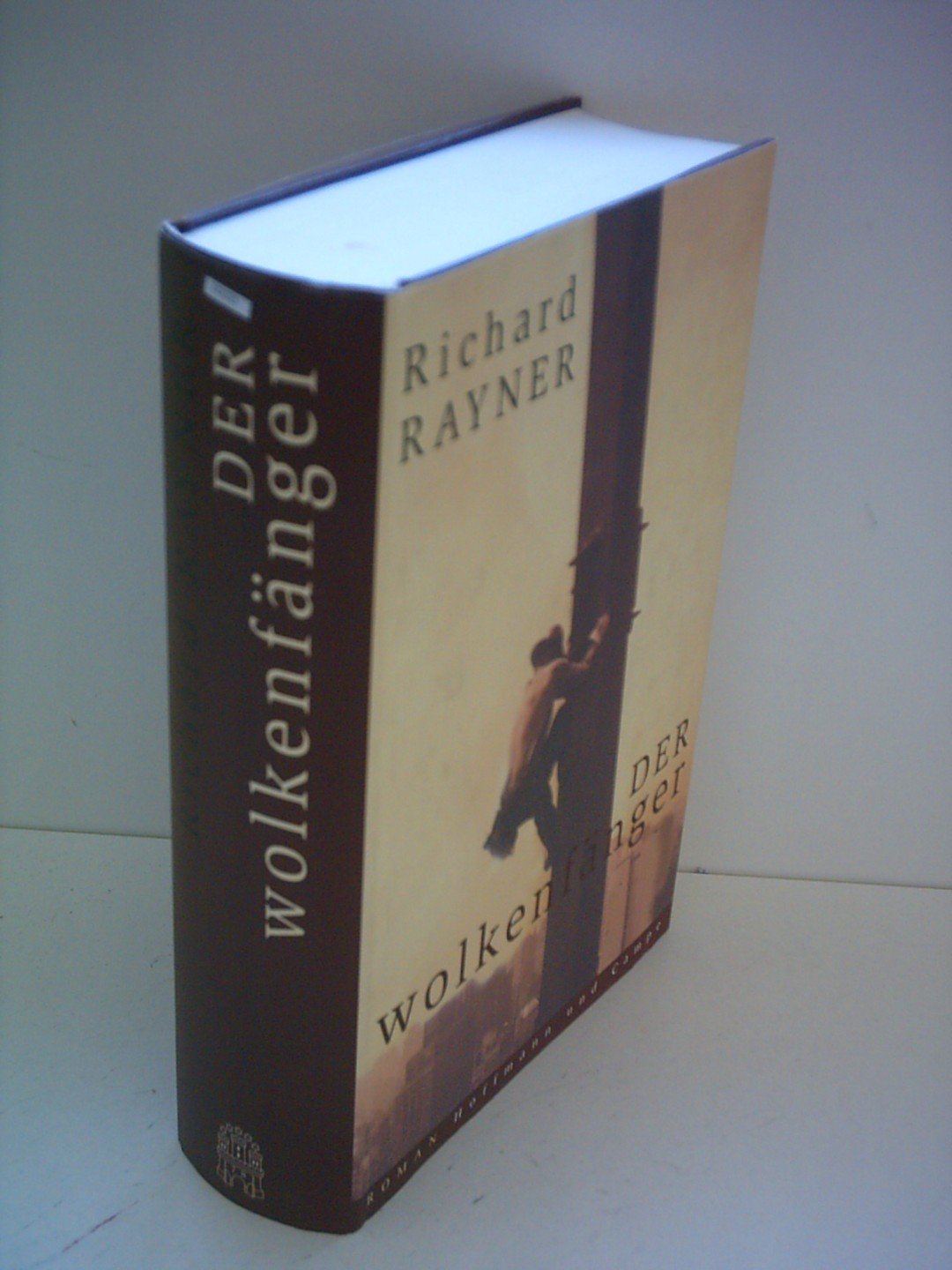 Richard Rayner: Der Wolkenfänger
