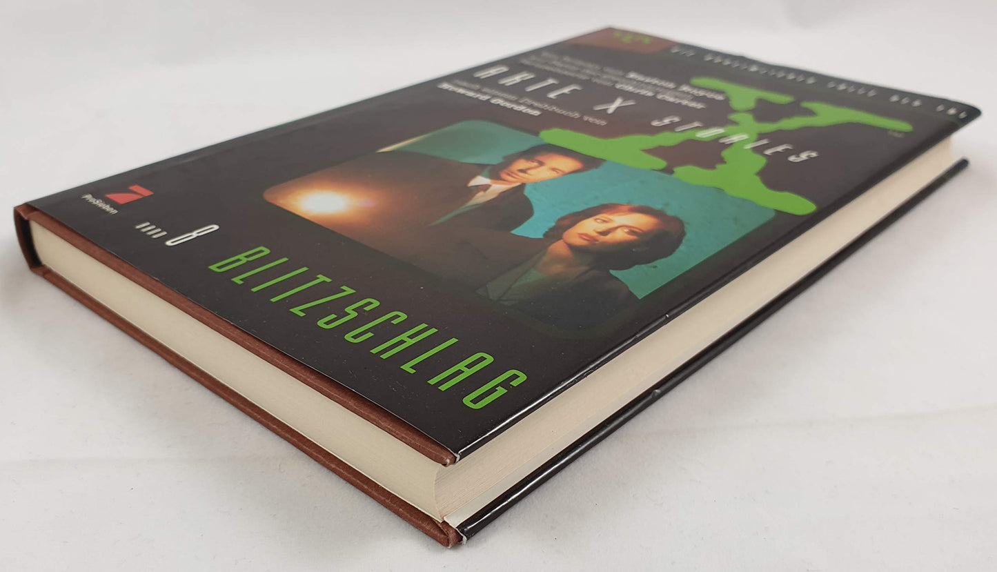 Akte X Stories, Die unheimlichen Fälle des FBI, Bd.8, Blitzschlag