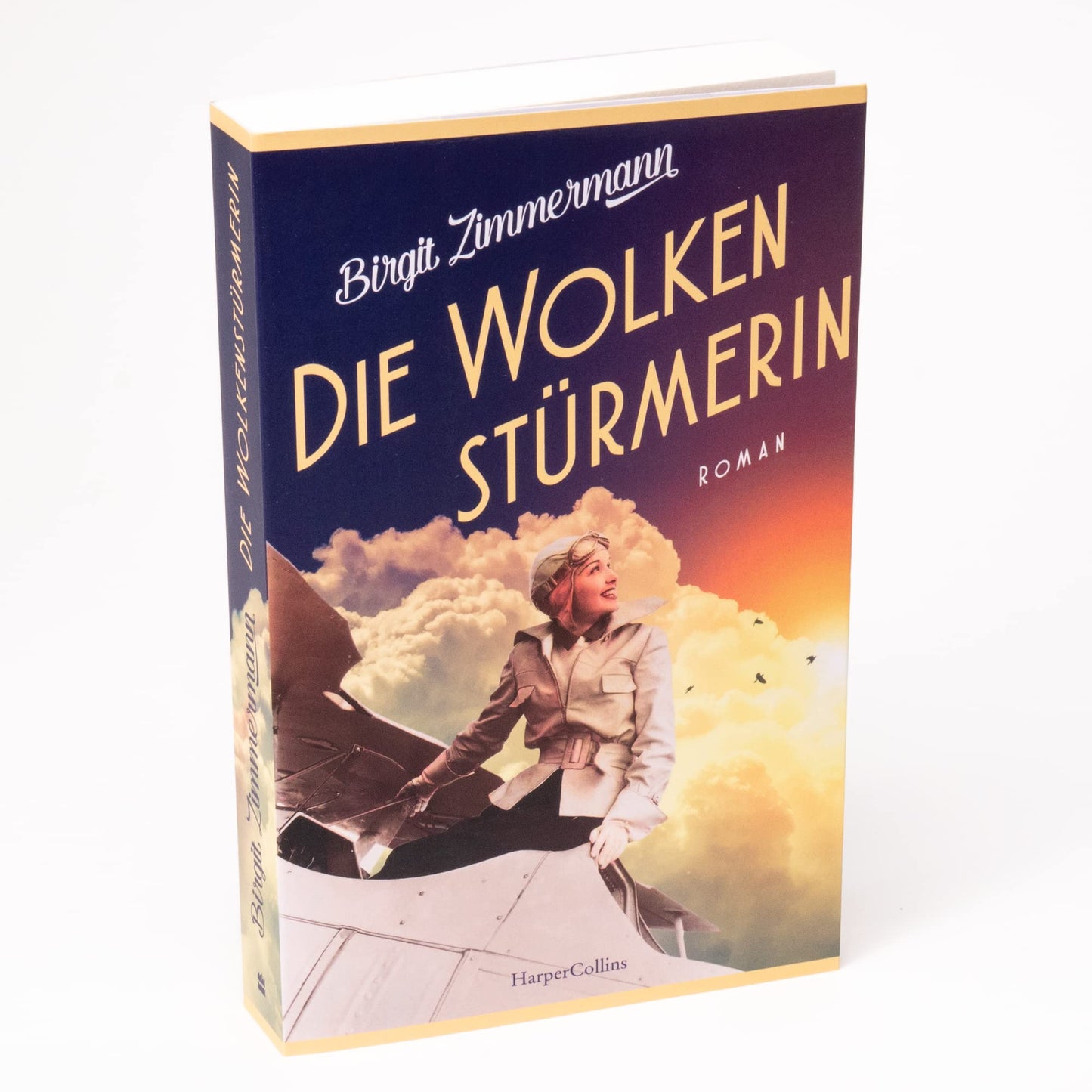 Die Wolkenstürmerin: Roman