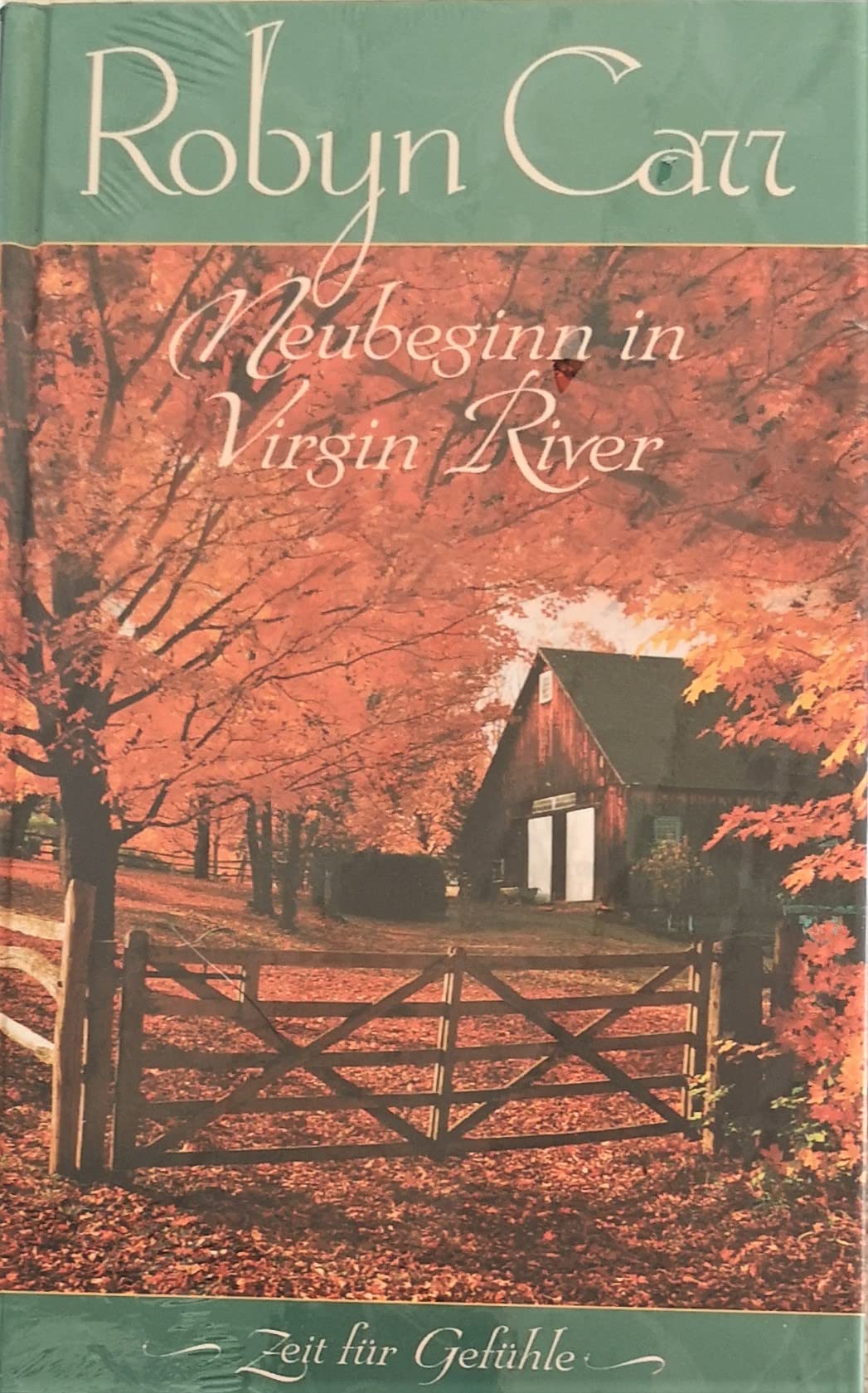Neubeginn in Virgin River (Zeit für Gefühle)