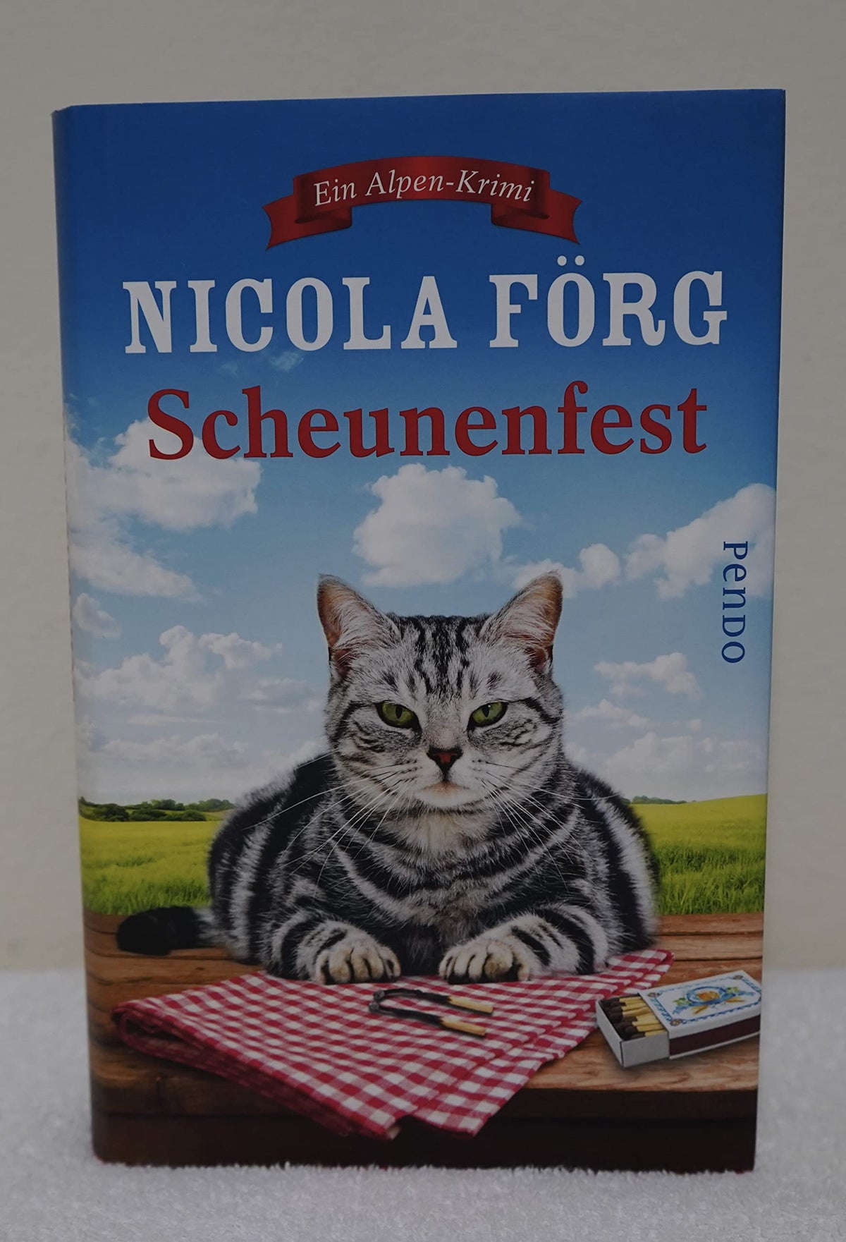 Scheunenfest: Ein Alpen-Krimi (Alpen-Krimis, Band 6)