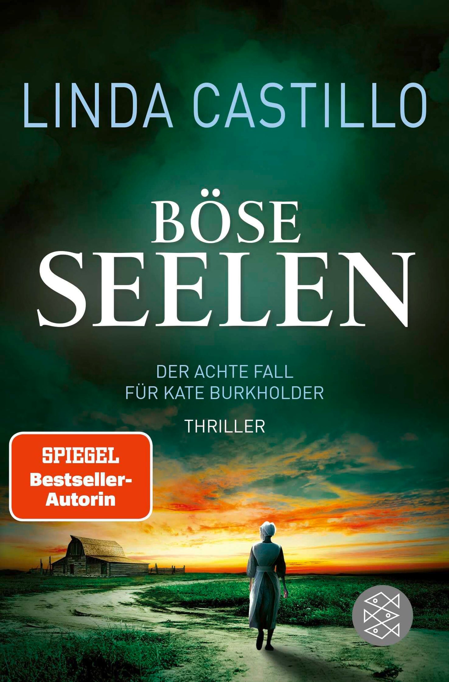 Böse Seelen: Thriller | Spannender Thriller bei den Amischen (Kate Burkholder ermittelt, Band 8)