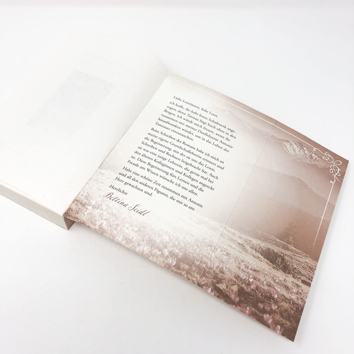 Die Dorflehrerin: Zwischen Liebe und Berufung – Roman (Die Dorflehrerin-Reihe, Band 1)