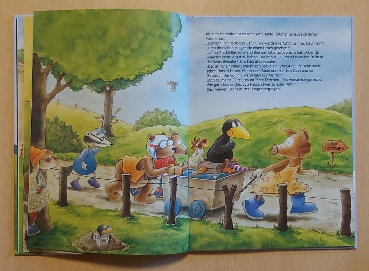 Bilderbuchgeschichten vom kleinen Raben Socke