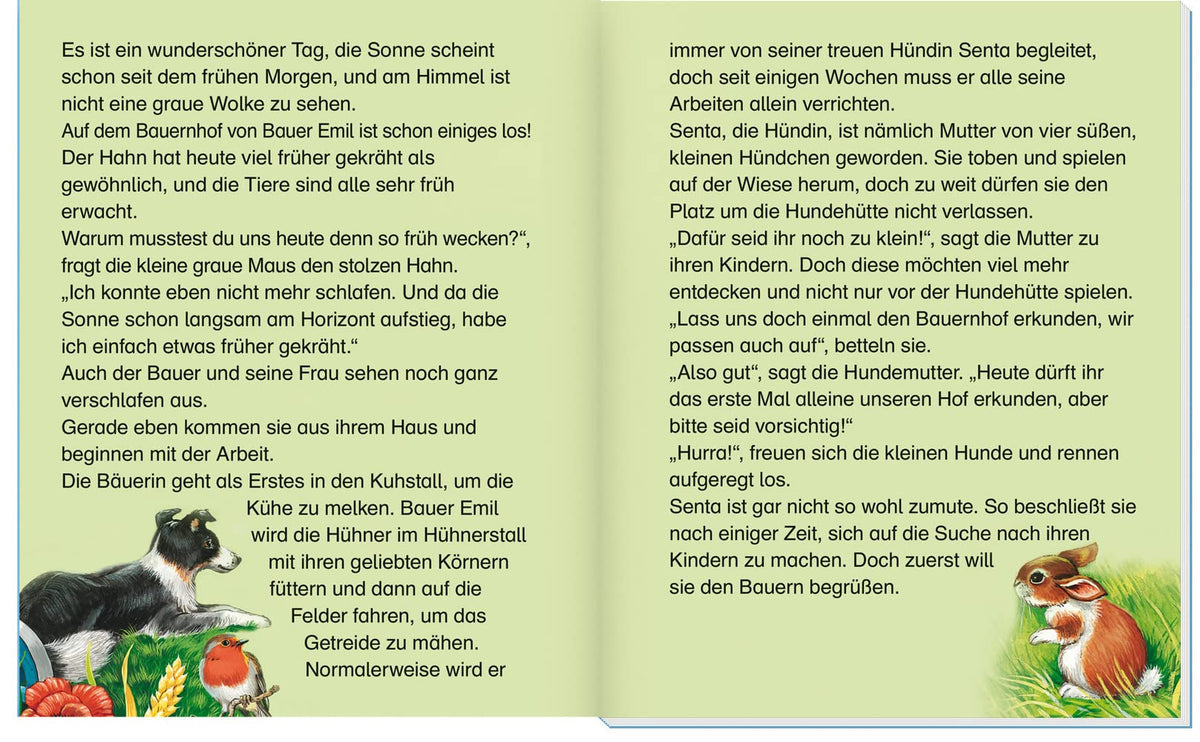 Geschichtenbuch "Meine schönsten Tiergeschichten": Extra große Schrift