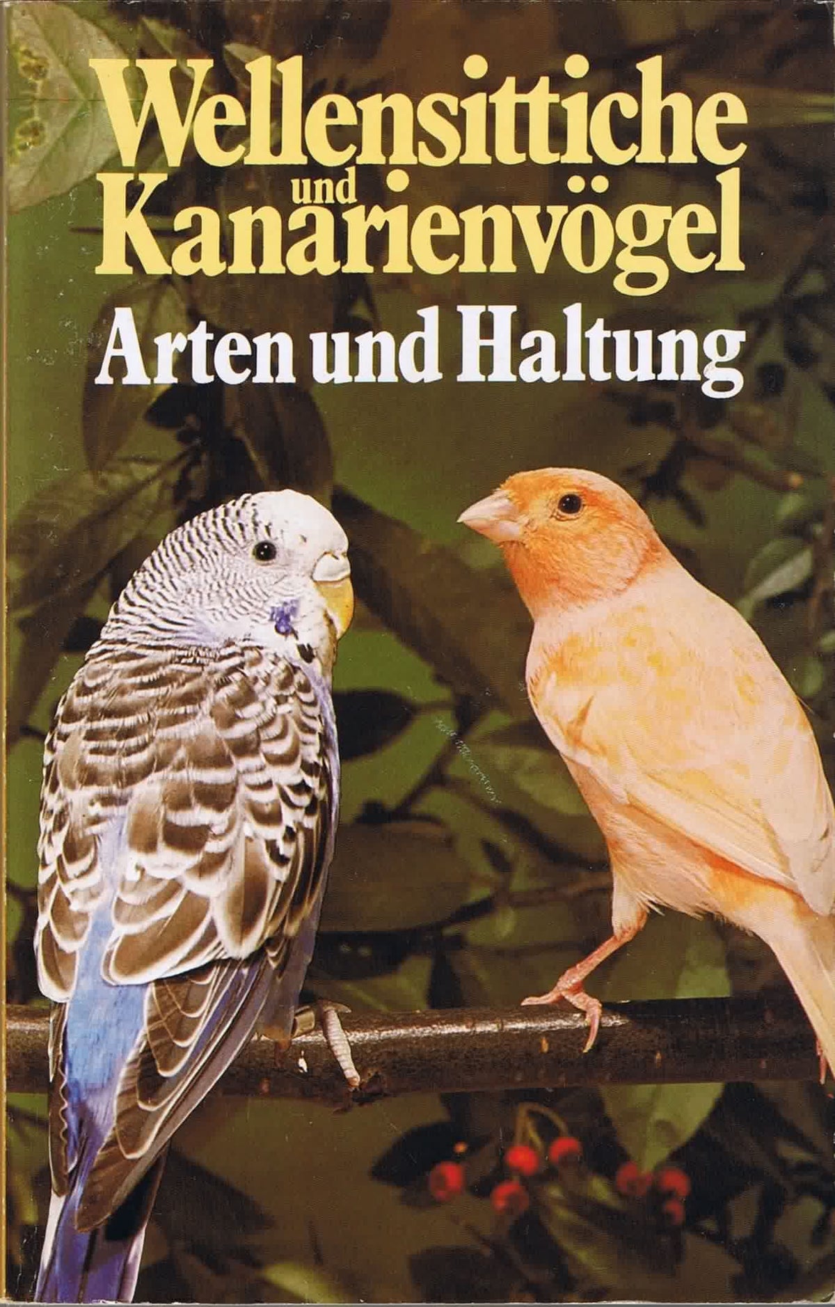 Wellensittiche und Kanarienvögel - Arten und Haltung