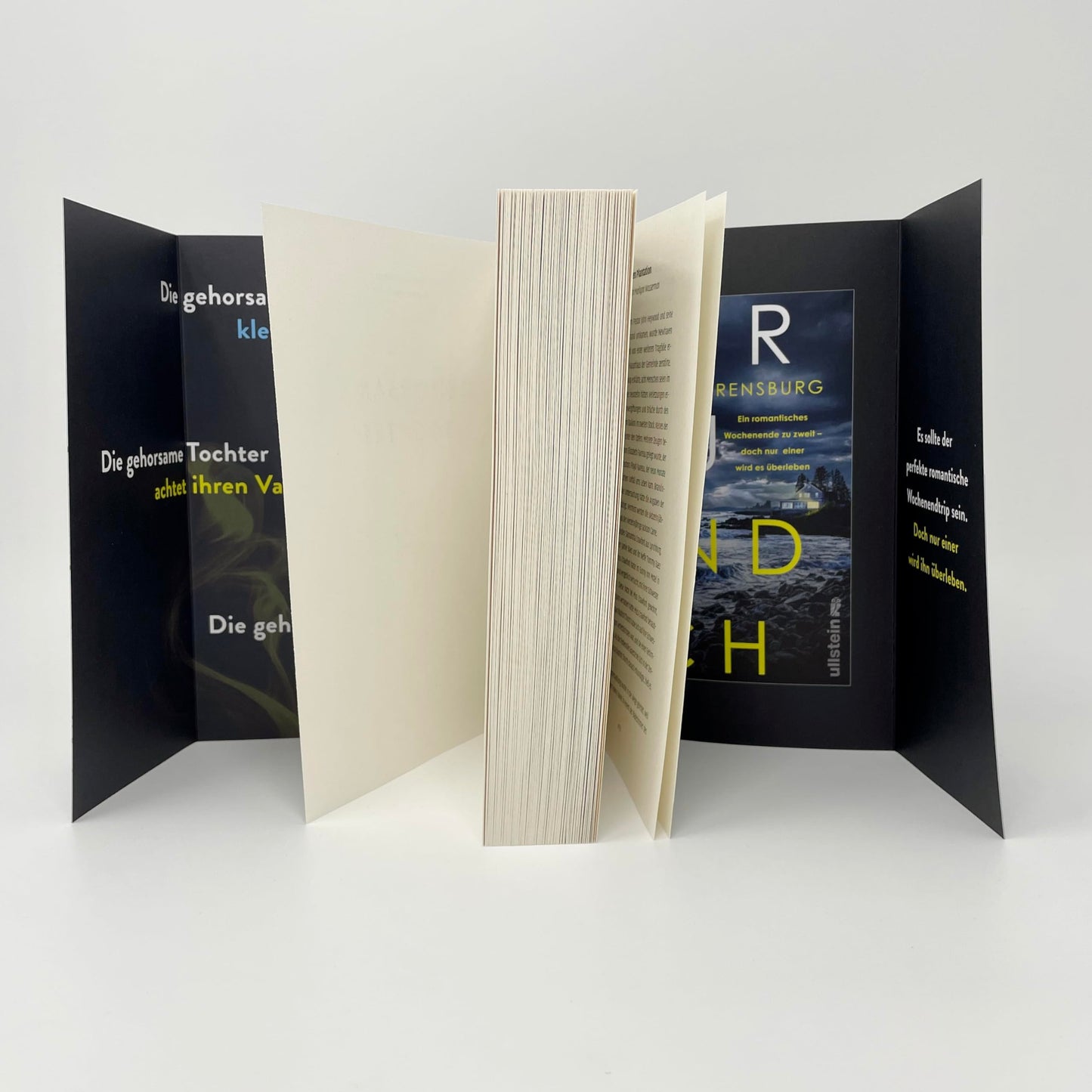 Die gehorsame Tochter: Thriller | »Ein starker, atemberaubender und berührender Thriller.« Chris Whitaker