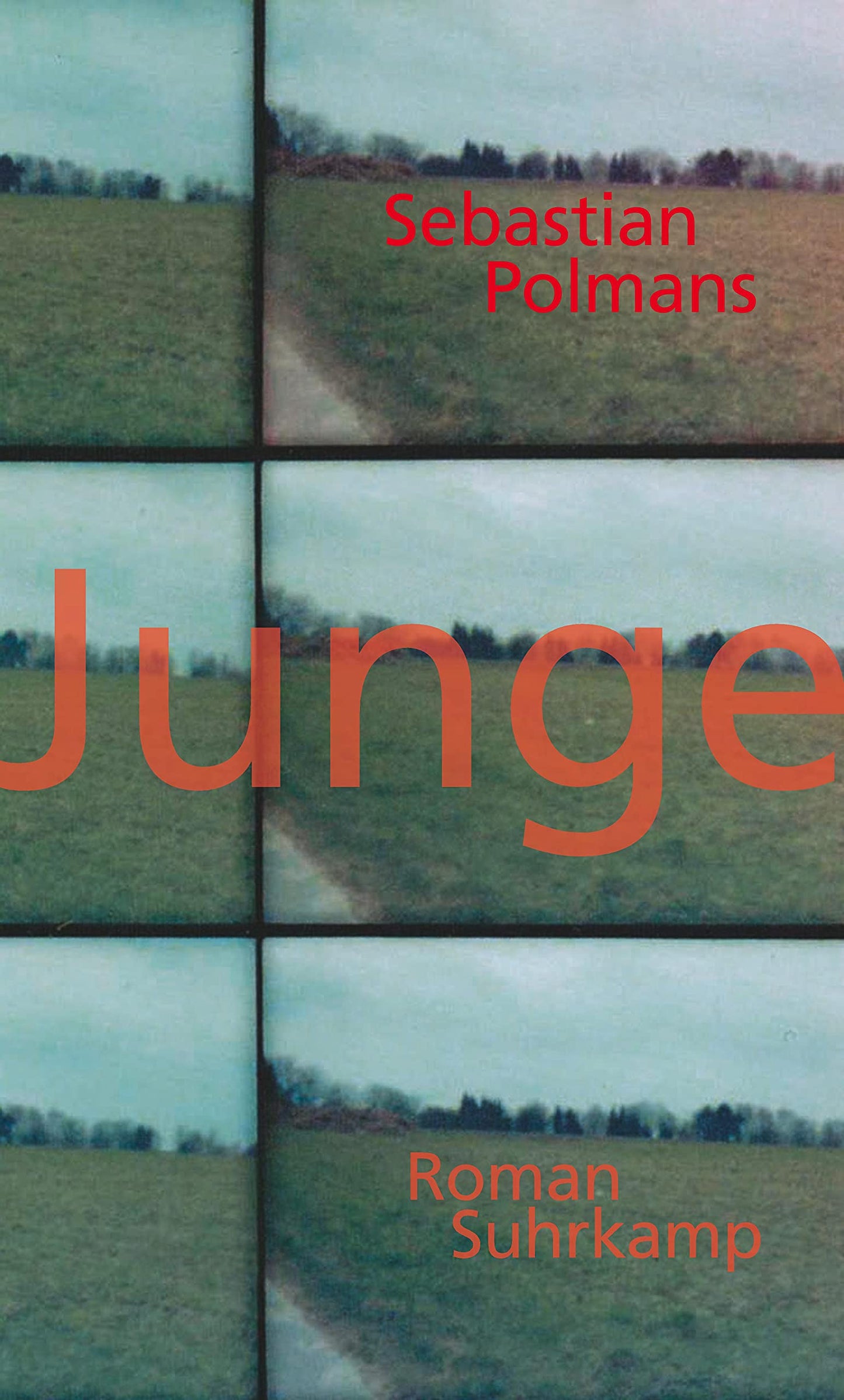 Junge: Roman